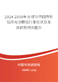 2024-2030年全球与中国方形铝壳电池模组行业现状及发展趋势预测报告