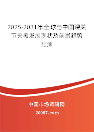 2025-2031年全球与中国踝关节夹板发展现状及前景趋势预测 2025-2031年全球与中国踝关节夹板发展现状及前景趋势预测