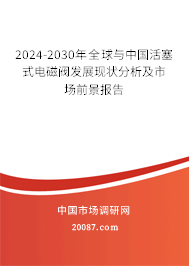 2024-2030年全球与中国活塞式电磁阀发展现状分析及市场前景报告