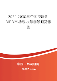 2024-2030年中国交联剂BIPB市场现状与前景趋势报告