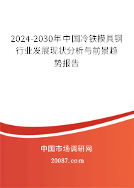 2024-2030年中国冷铁模具钢行业发展现状分析与前景趋势报告