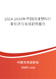 2024-2030年中国泡沫塑料行业现状与发展趋势报告