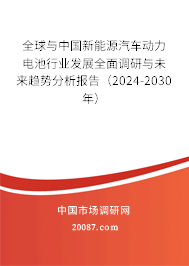 全球与中国新能源汽车动力电池行业发展全面调研与未来趋势分析报告（2024-2030年）