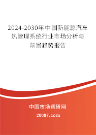 2024-2030年中国新能源汽车热管理系统行业市场分析与前景趋势报告