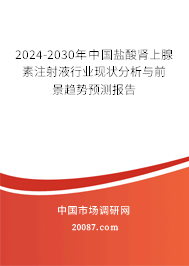 2024-2030年中国盐酸肾上腺素注射液行业现状分析与前景趋势预测报告