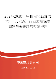 2024-2030年中国液化石油气汽车（LPGV）行业发展深度调研与未来趋势预测报告