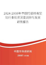 2024-2030年中国竹醋排毒足贴行业现状深度调研与发展趋势报告