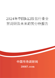 2024年中国k12铵盐行业全景调研及未来趋势分析报告