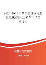 2024-2030年中国氨糖软骨素胶囊发展现状分析与市场前景报告