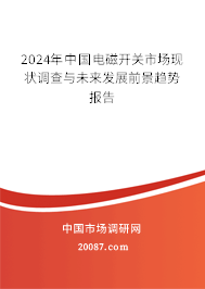 2024年中国电磁开关市场现状调查与未来发展前景趋势报告