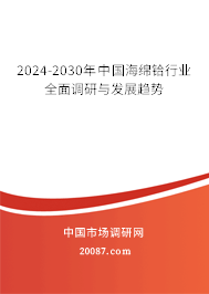 2024-2030年中国海绵铪行业全面调研与发展趋势