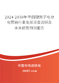 2024-2030年中国锂离子电池电容器行业发展深度调研及未来趋势预测报告