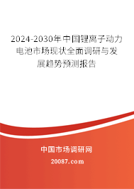 2024-2030年中国锂离子动力电池市场现状全面调研与发展趋势预测报告