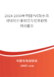 2024-2030年中国PVC吸水海绵滚轮行业研究与前景趋势预测报告