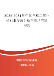 2025-2031年中国气相二氧化硅行业发展分析与市场前景报告 2025-2031年中国气相二氧化硅行业发展分析与市场前景报告