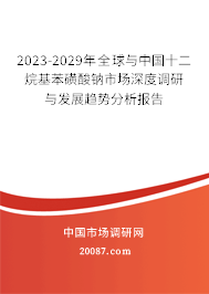 2023-2029年全球与中国十二烷基苯磺酸钠市场深度调研与发展趋势分析报告