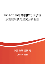 2024-2030年中国推力滚子轴承发展现状与趋势分析报告