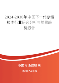 2024-2030年中国下一代存储技术行业研究分析与前景趋势报告