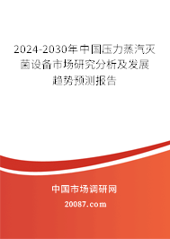 2024-2030年中国压力蒸汽灭菌设备市场研究分析及发展趋势预测报告