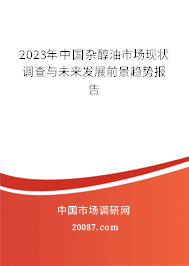 2023年中国杂醇油市场现状调查与未来发展前景趋势报告