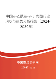 中国α-乙酰基-γ-丁内酯行业现状与趋势分析报告（2024-2030年）