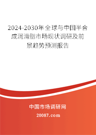 2024-2030年全球与中国半合成润滑脂市场现状调研及前景趋势预测报告