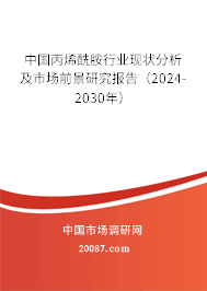 中国丙烯酰胺行业现状分析及市场前景研究报告（2024-2030年）