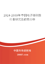 2024-2030年中国电子级硝酸行业研究及趋势分析