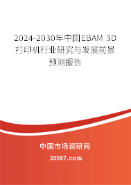 2024-2030年中国EBAM 3D打印机行业研究与发展前景预测报告