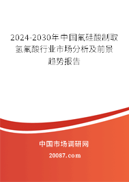 2024-2030年中国氟硅酸制取氢氟酸行业市场分析及前景趋势报告