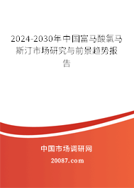 2024-2030年中国富马酸氯马斯汀市场研究与前景趋势报告