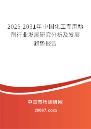 2025-2031年中国化工专用助剂行业发展研究分析及发展趋势报告 2025-2031年中国化工专用助剂行业发展研究分析及发展趋势报告