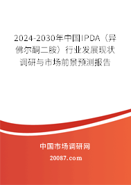 2024-2030年中国IPDA（异佛尔酮二胺）行业发展现状调研与市场前景预测报告