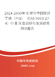 2024-2030年全球与中国聚异丁烯（PIB）（CAS 9003-27-4）行业深度调研与发展趋势预测报告