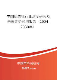 中国硫酸锰行业深度研究及未来走势预测报告（2024-2030年）