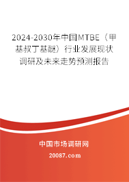 2024-2030年中国MTBE（甲基叔丁基醚）行业发展现状调研及未来走势预测报告