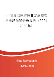 中国模拟摇杆行业发展研究与市场前景分析报告（2024-2030年）