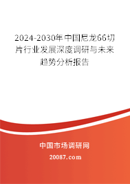 2024-2030年中国尼龙66切片行业发展深度调研与未来趋势分析报告