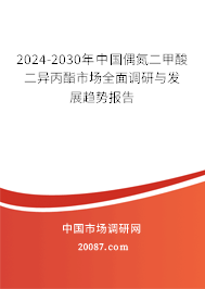 2024-2030年中国偶氮二甲酸二异丙酯市场全面调研与发展趋势报告