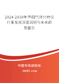 2024-2030年中国气体分析仪行业发展深度调研与未来趋势报告