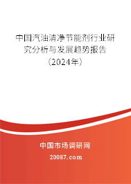 中国汽油清净节能剂行业研究分析与发展趋势报告（2024年）