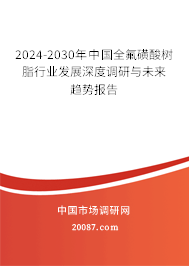 2024-2030年中国全氟磺酸树脂行业发展深度调研与未来趋势报告