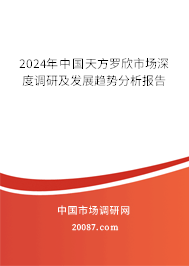 2024年中国天方罗欣市场深度调研及发展趋势分析报告