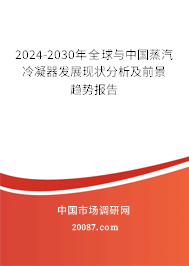 2024-2030年全球与中国蒸汽冷凝器发展现状分析及前景趋势报告