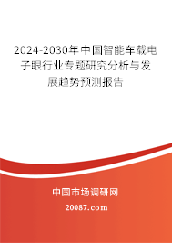 2024-2030年中国智能车载电子眼行业专题研究分析与发展趋势预测报告