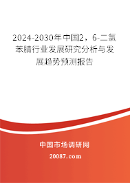 2024-2030年中国2，6-二氯苯腈行业发展研究分析与发展趋势预测报告