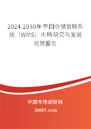 2024-2030年中国仓储管理系统（WMS）市场研究与发展前景报告