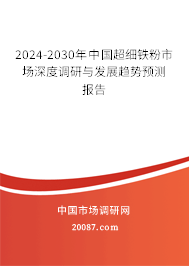 2024-2030年中国超细铁粉市场深度调研与发展趋势预测报告