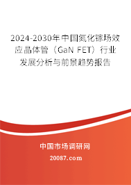 2024-2030年中国氮化镓场效应晶体管（GaN FET）行业发展分析与前景趋势报告