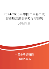 2024-2030年中国二甲基二硫醚市场深度调研及发展趋势分析报告